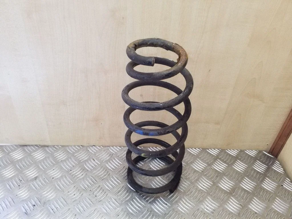 Rear coil spring
