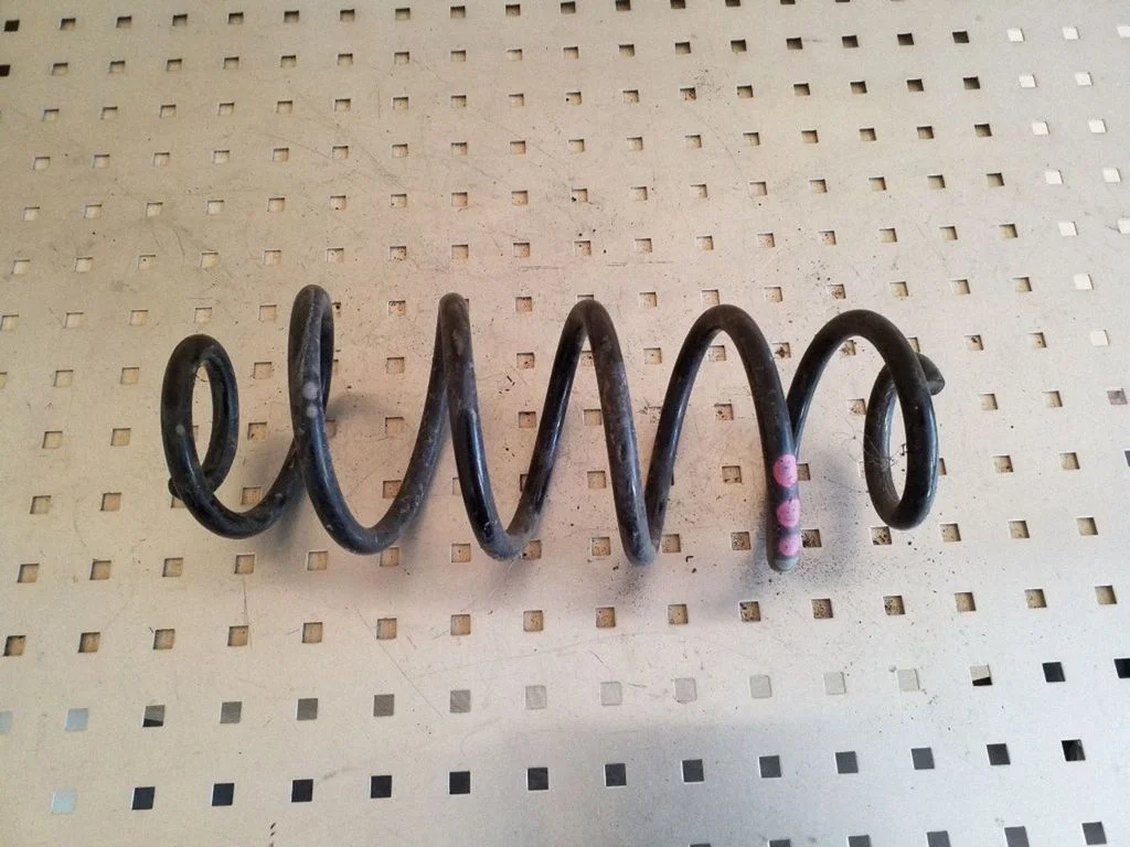 Rear coil spring