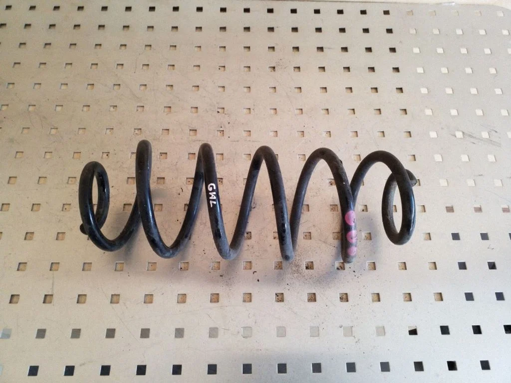 Rear coil spring