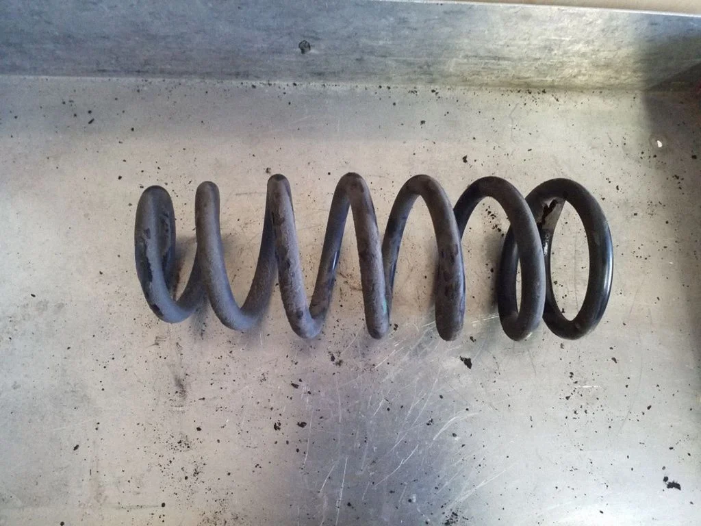 Rear coil spring