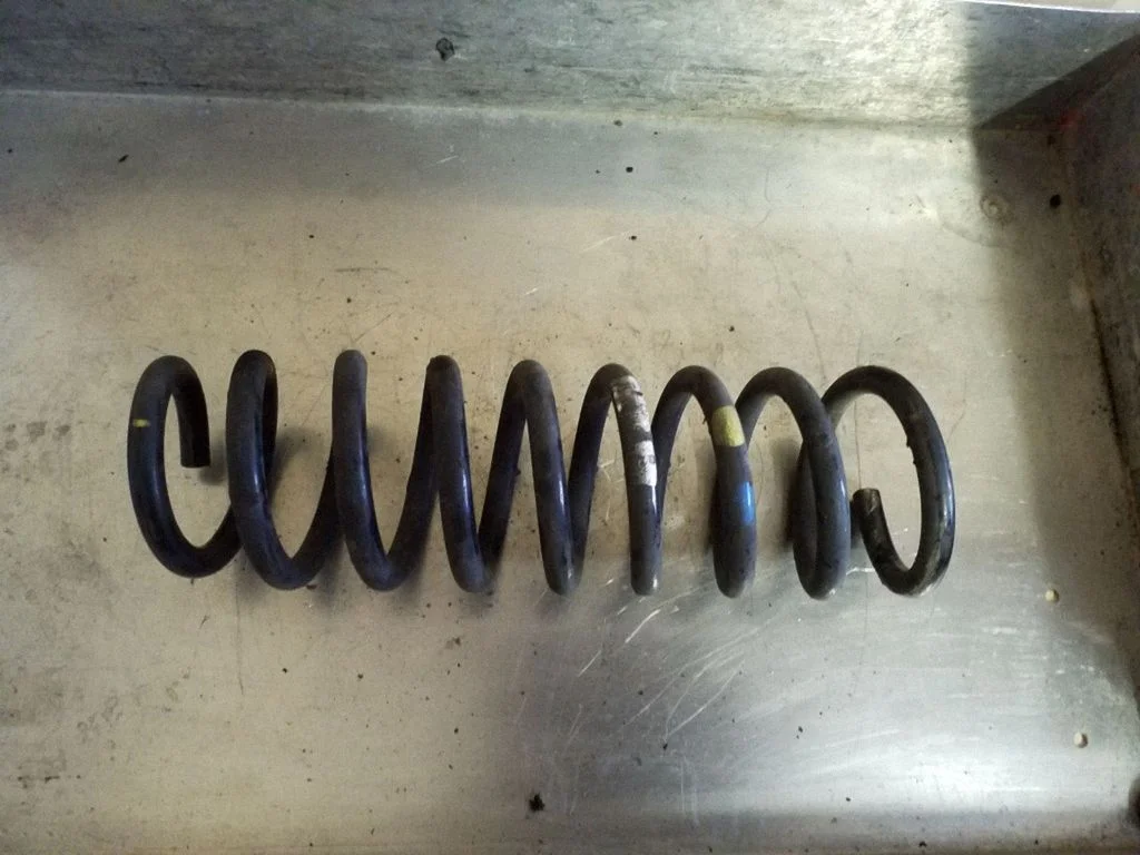 Rear coil spring