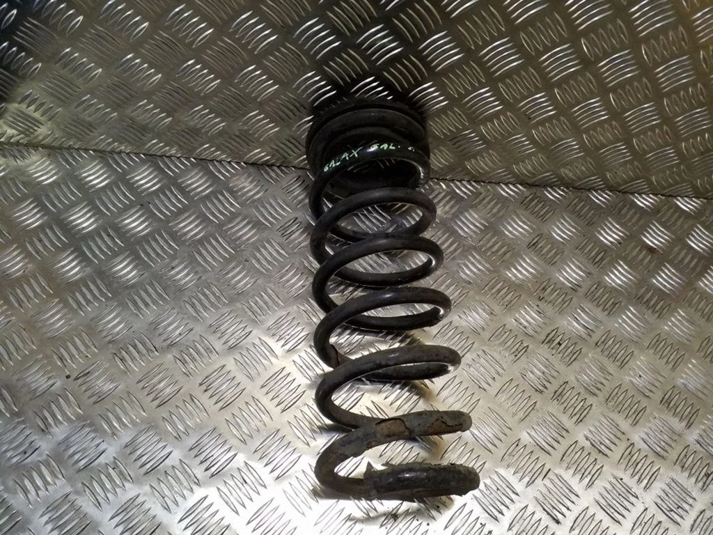 Rear coil spring