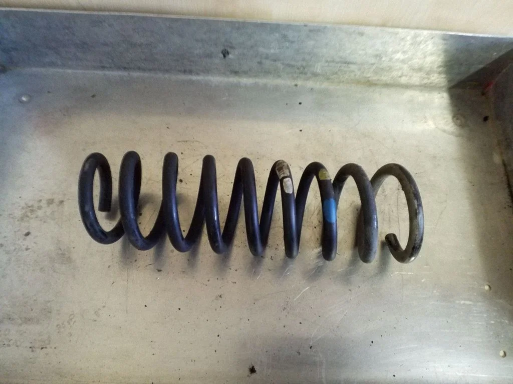 Rear coil spring