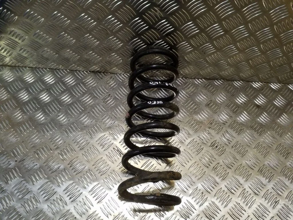Rear coil spring