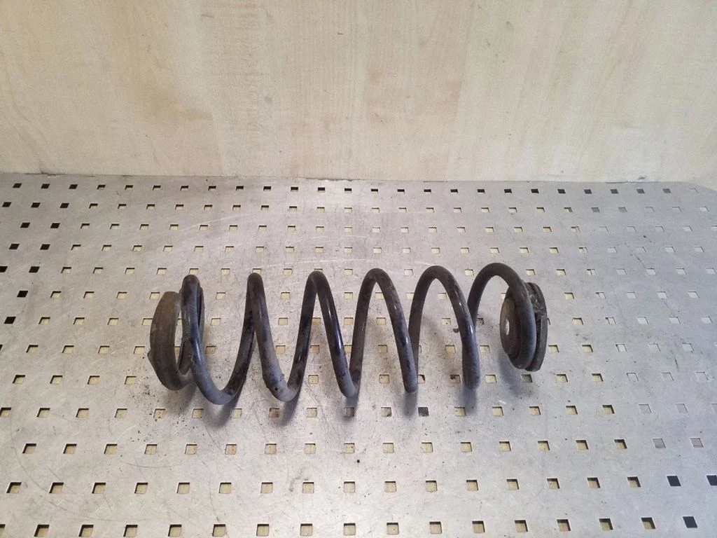 Rear coil spring