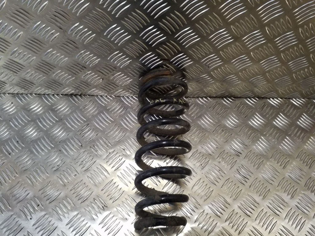 Rear coil spring