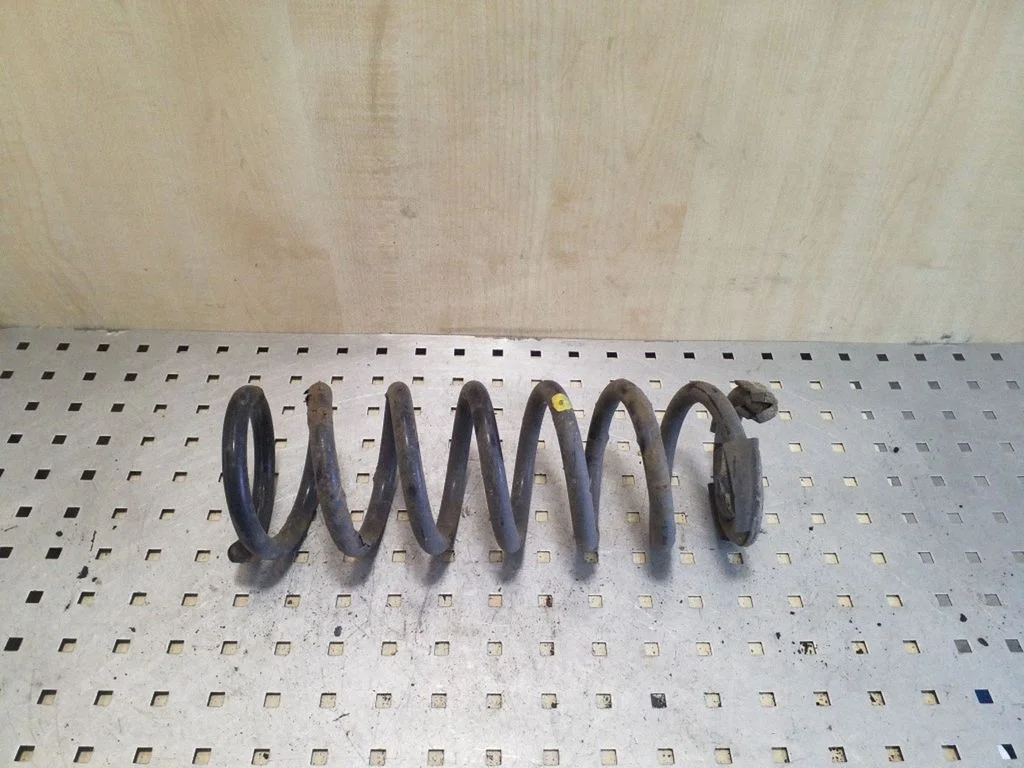 Rear coil spring