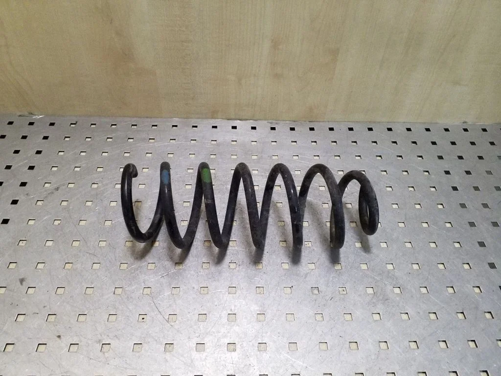 Rear coil spring