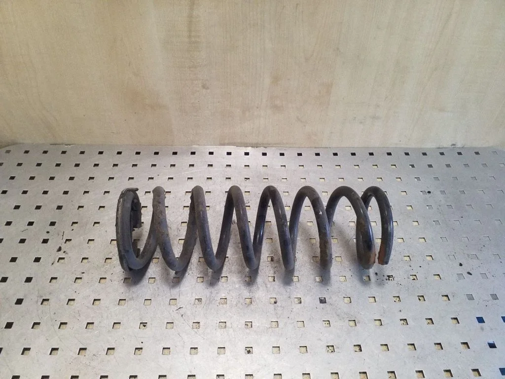 Rear coil spring