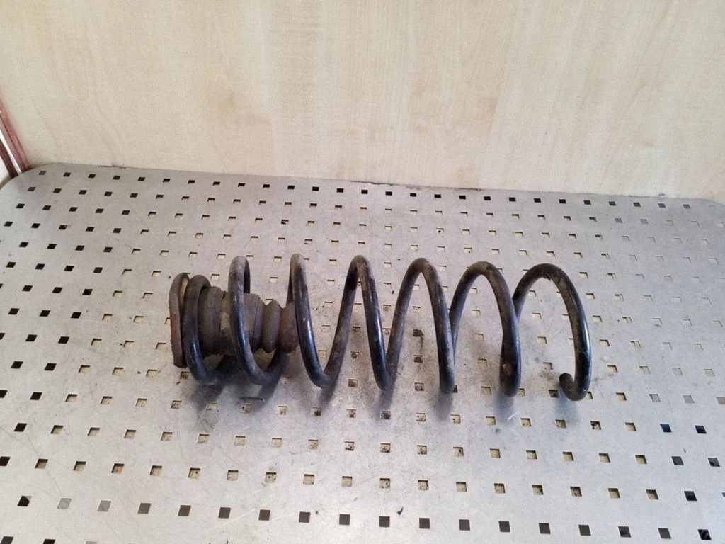 Rear coil spring