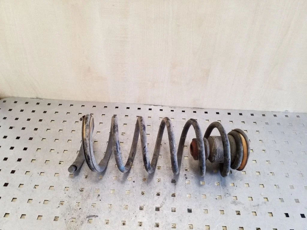 Rear coil spring