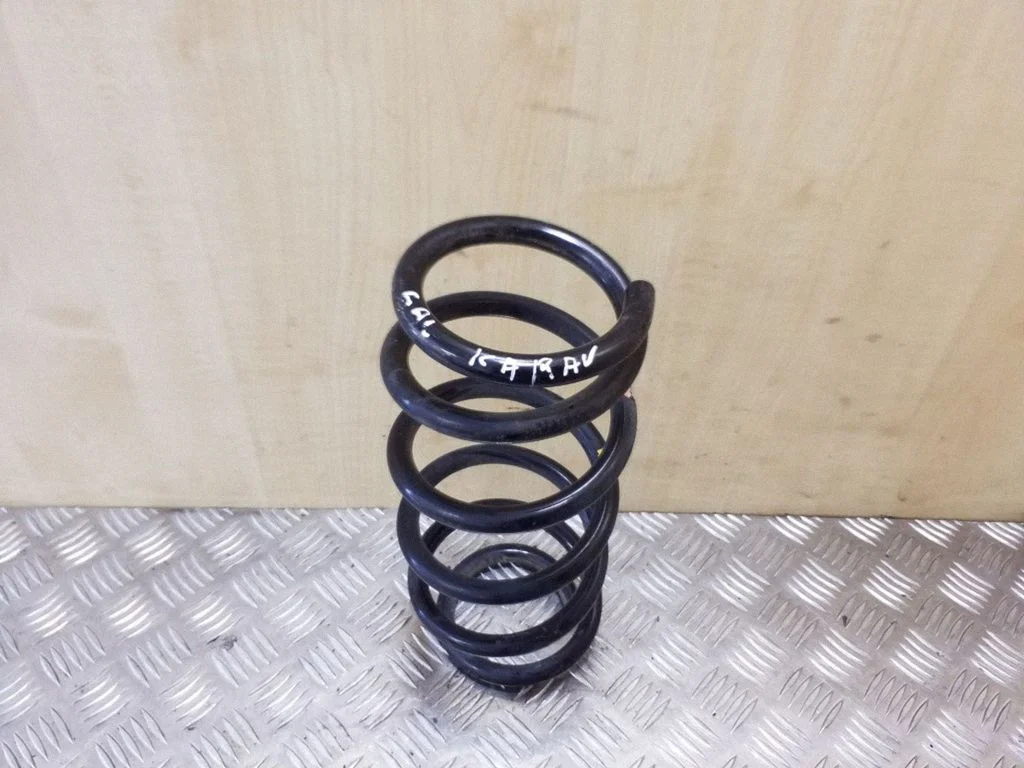 Rear coil spring