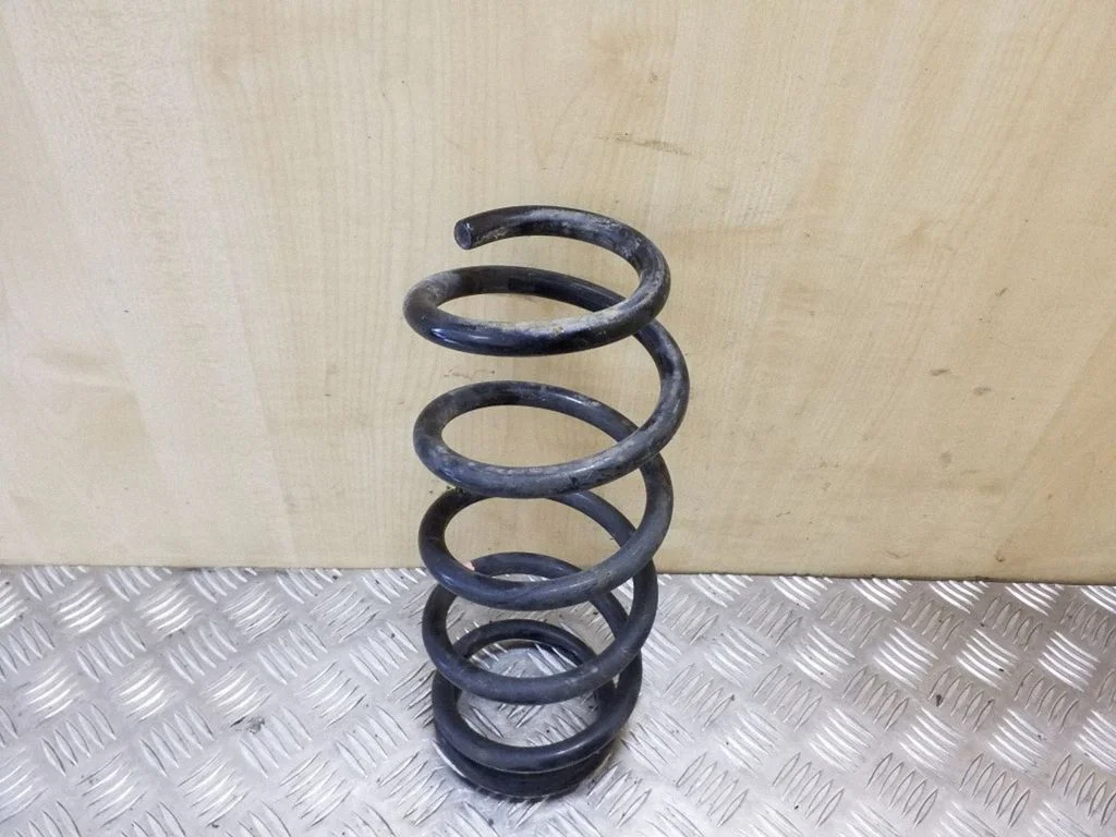 Rear coil spring