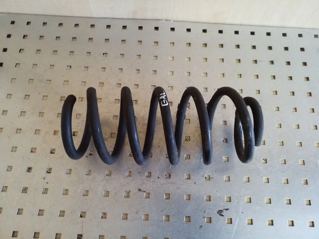 Rear coil spring