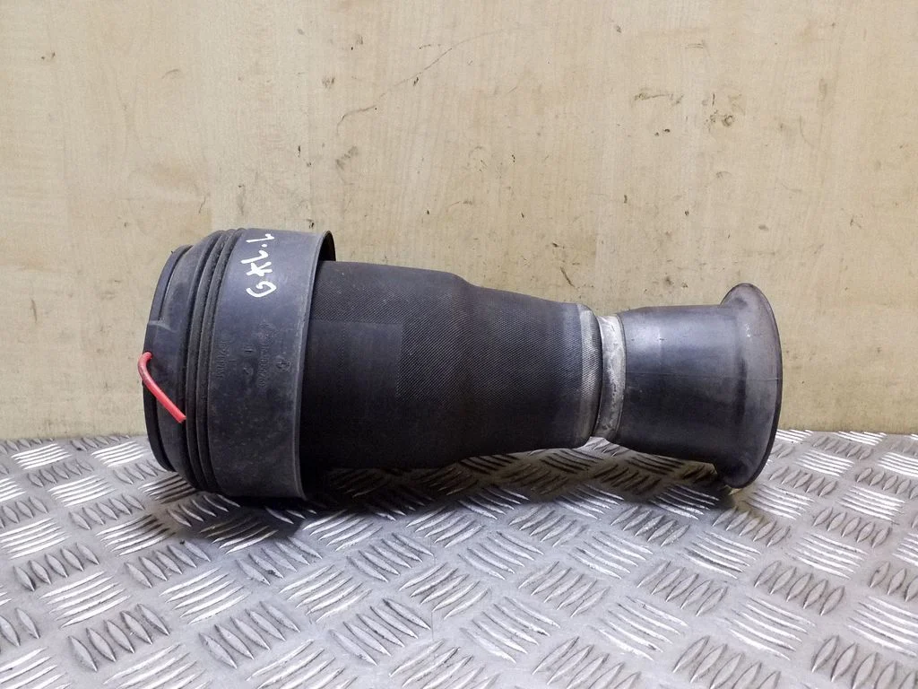 Rear air suspension bag/shock absorber R309512606