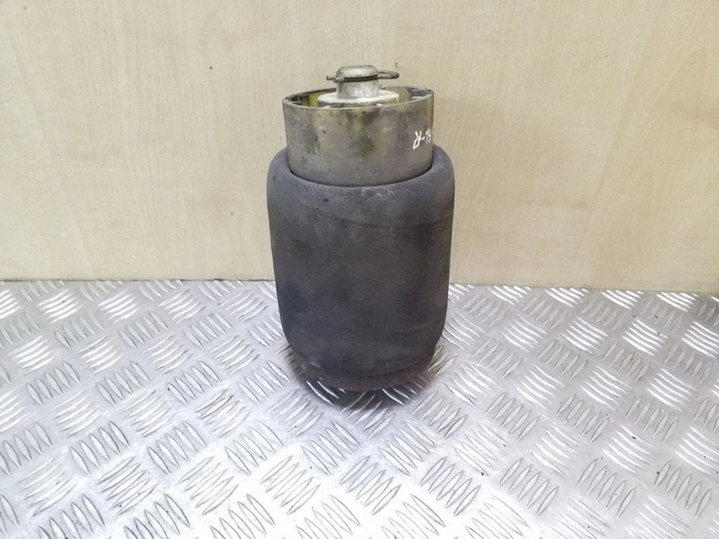 Rear air suspension bag/shock absorber 6750356