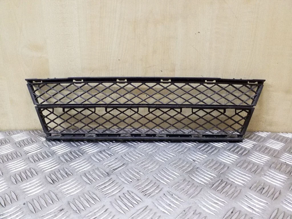 Front bumper lower grill 51117178113