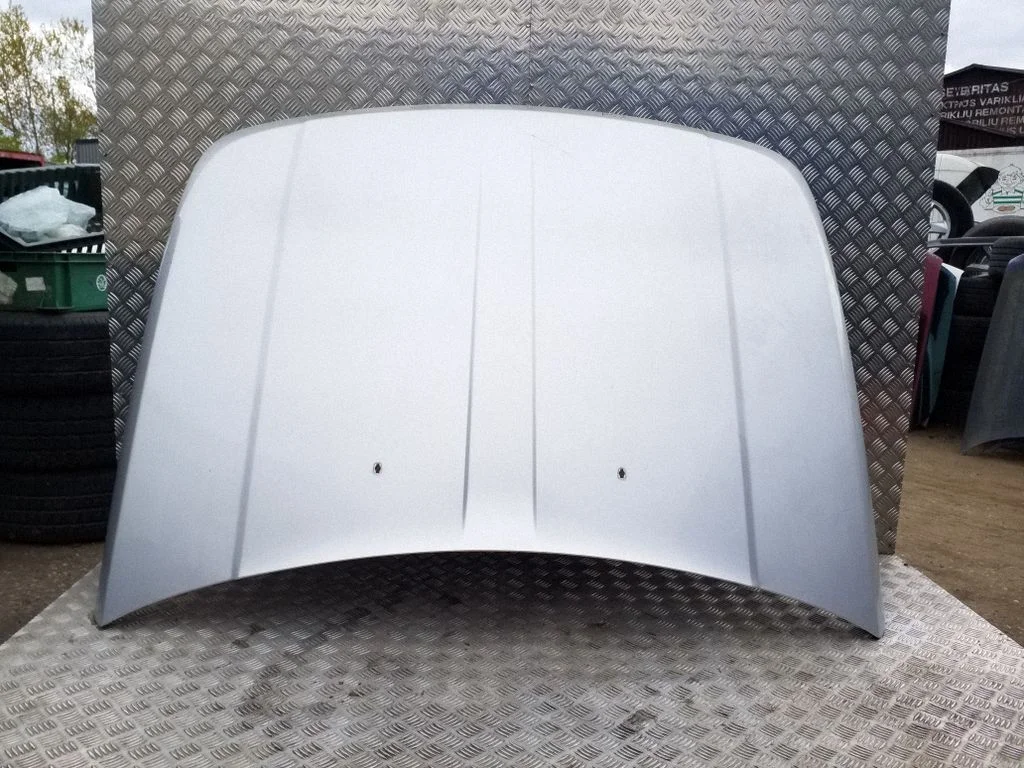 Engine bonnet/hood