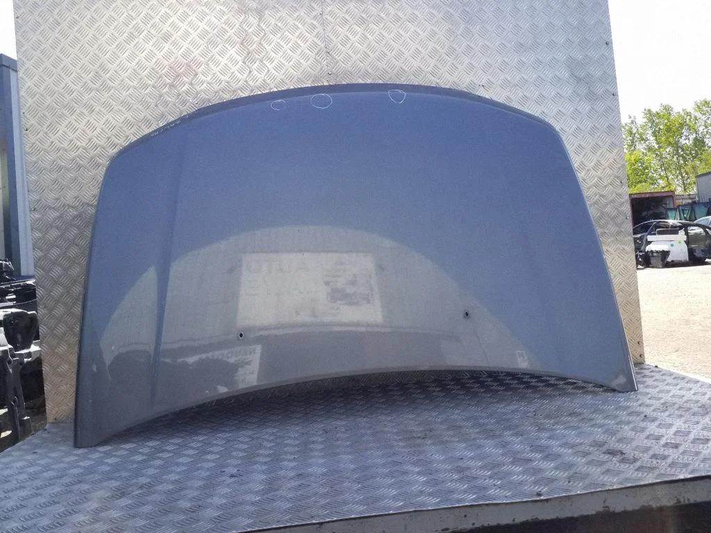 Engine bonnet/hood