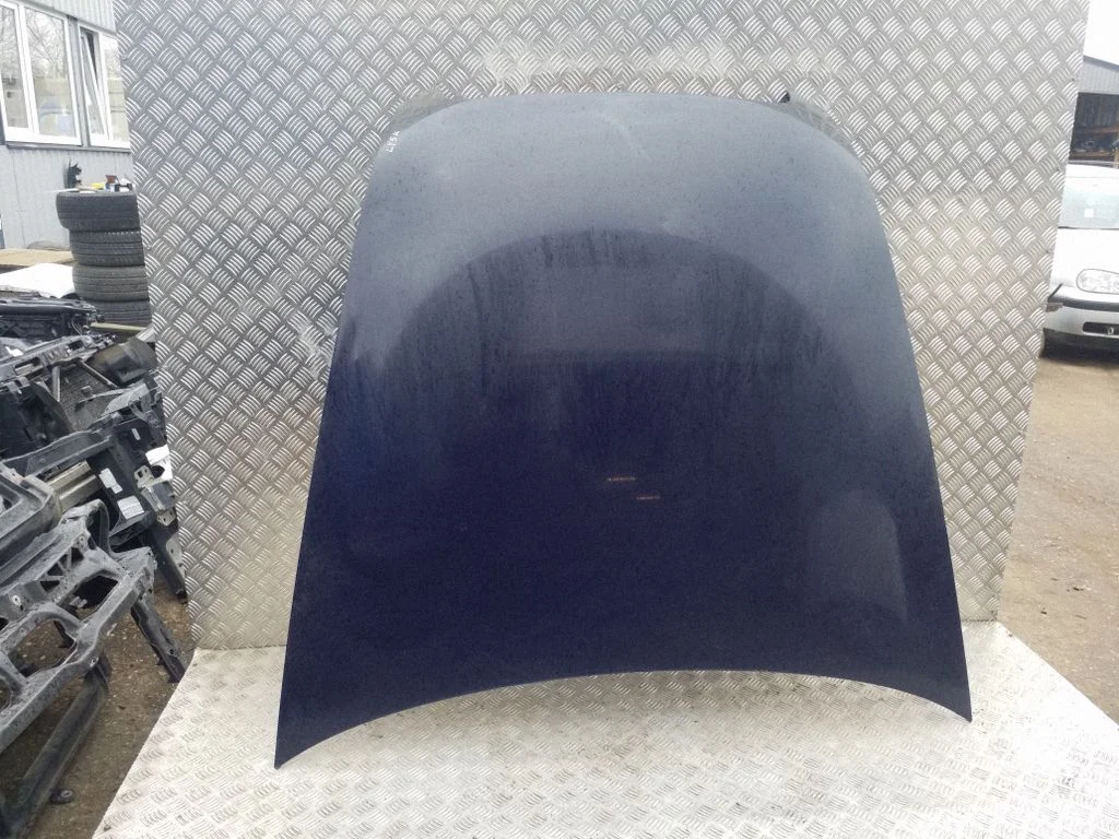 Engine bonnet/hood