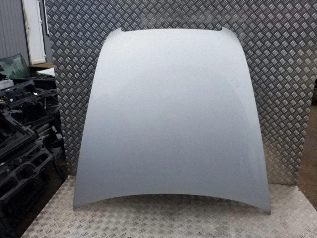 Engine bonnet/hood