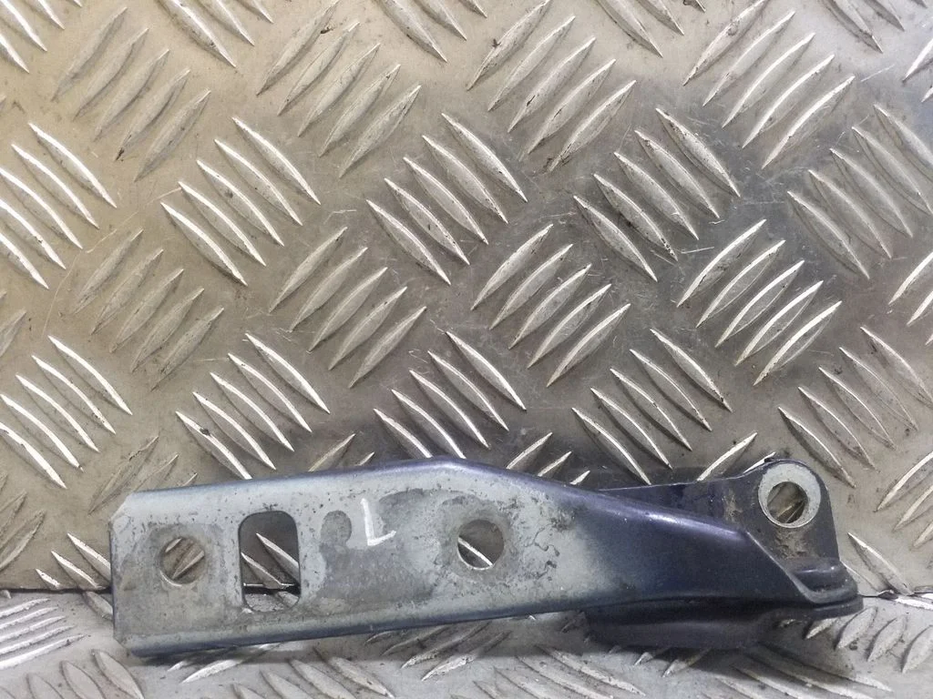 Motora pārsega eņģe (-es) 1J0823301