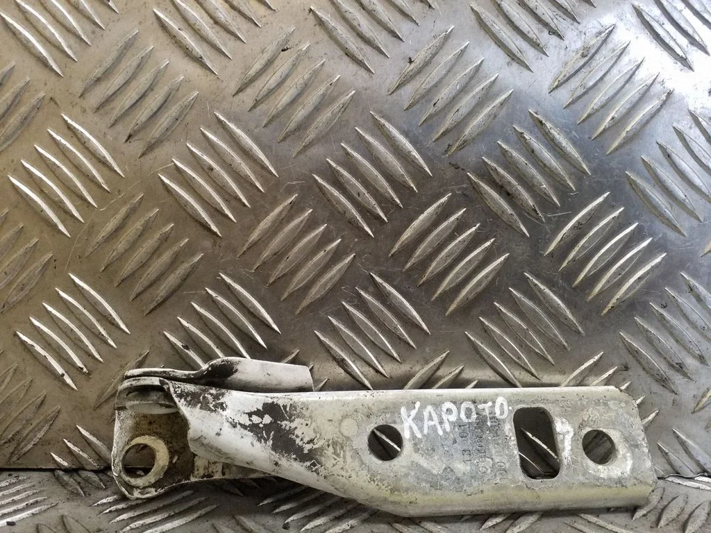 Motora pārsega eņģe (-es) 1J0823301