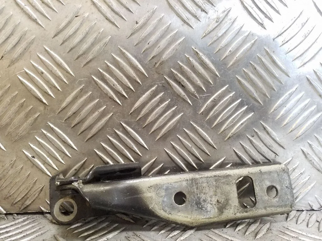 Motora pārsega eņģe (-es) 1J0823301