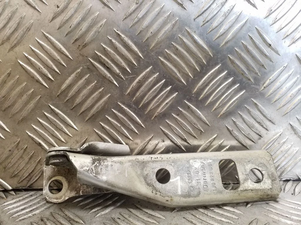 Motora pārsega eņģe (-es) 1J0823301