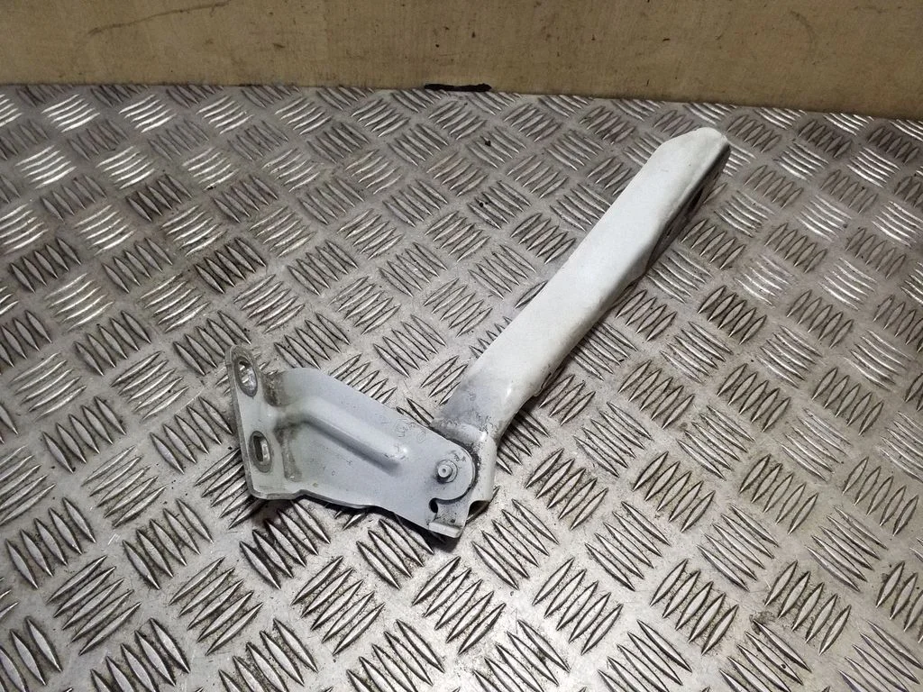 Zawiasy maski 654010006R