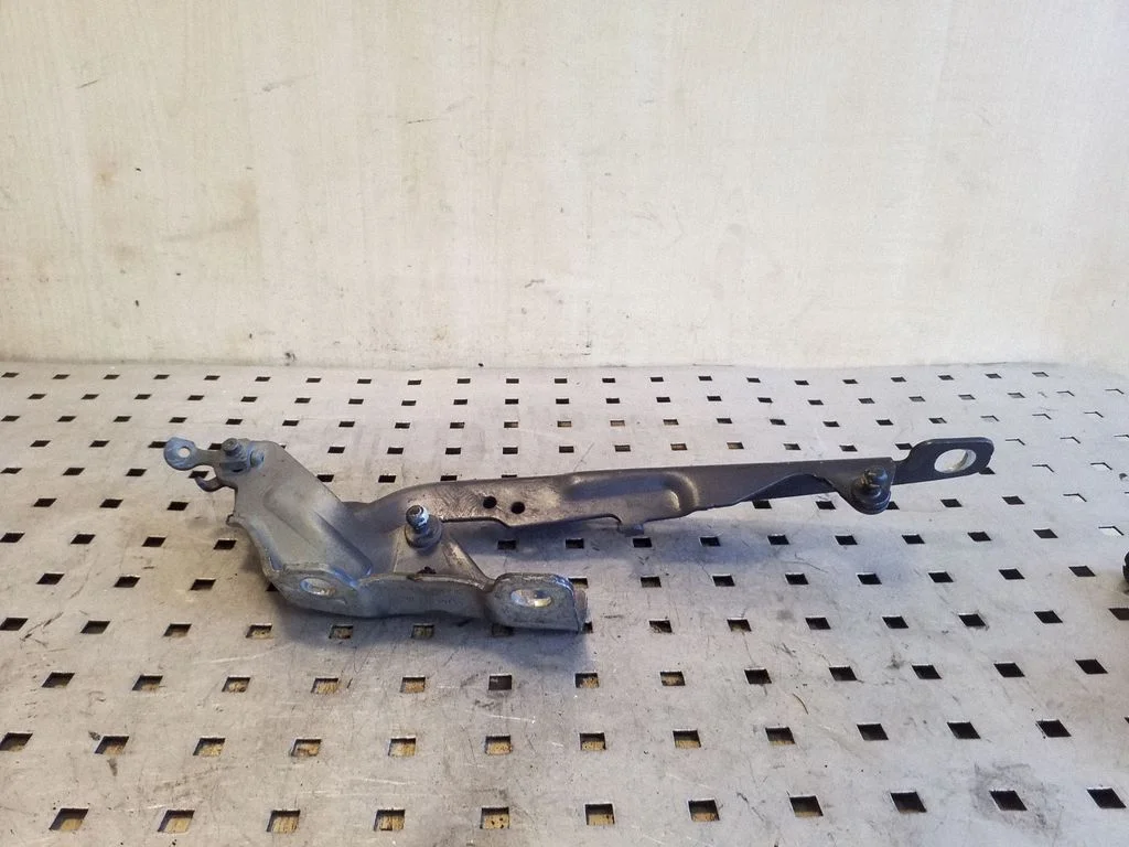 Motora pārsega eņģe (-es) 31250186