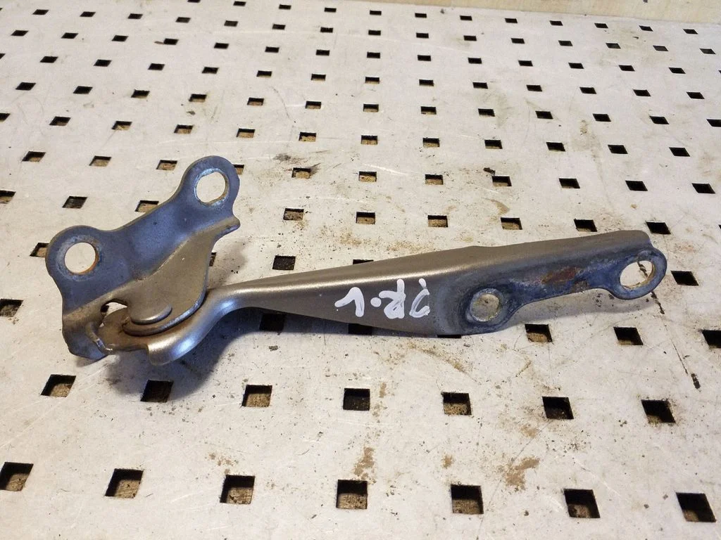 Vyris (-iai) variklio dangčio