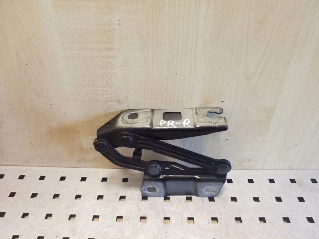 Mootorikapoti hinged A251880028