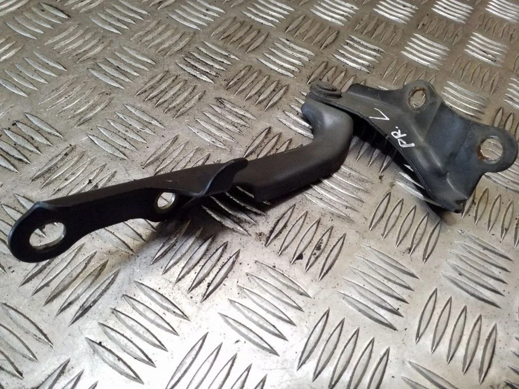 Mootorikapoti hinged – vasak