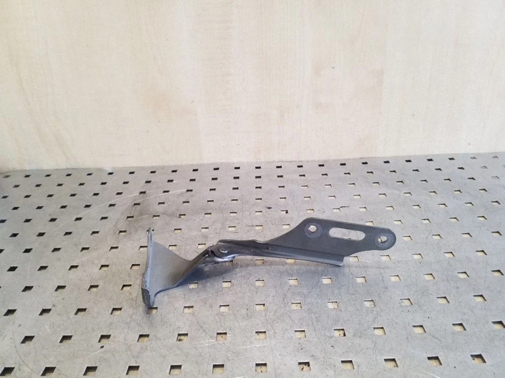 Engine bonnet/hood hinges – left