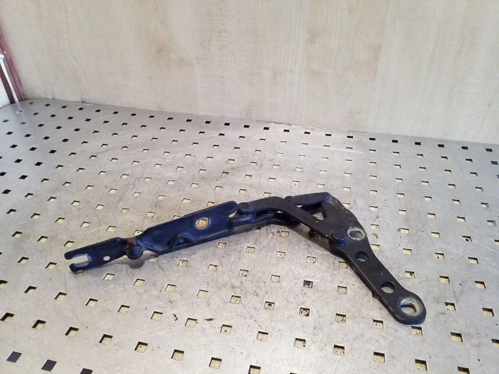 Motora pārsega eņģe (-es) 41618200124