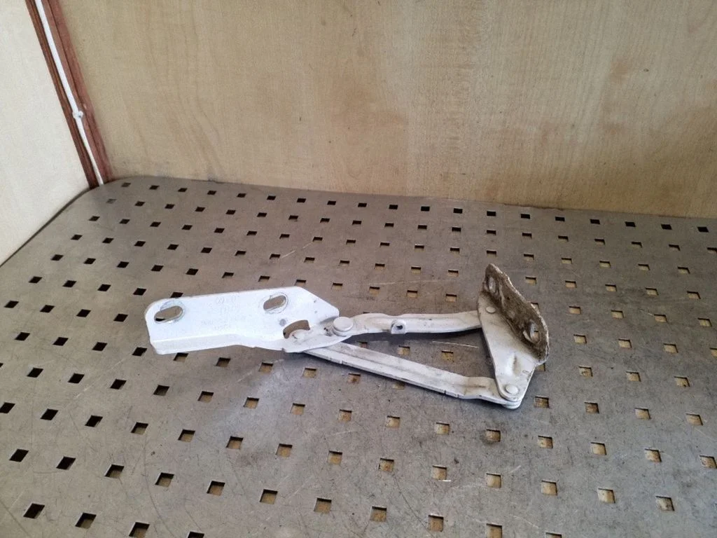 Vyris (-iai) variklio dangčio