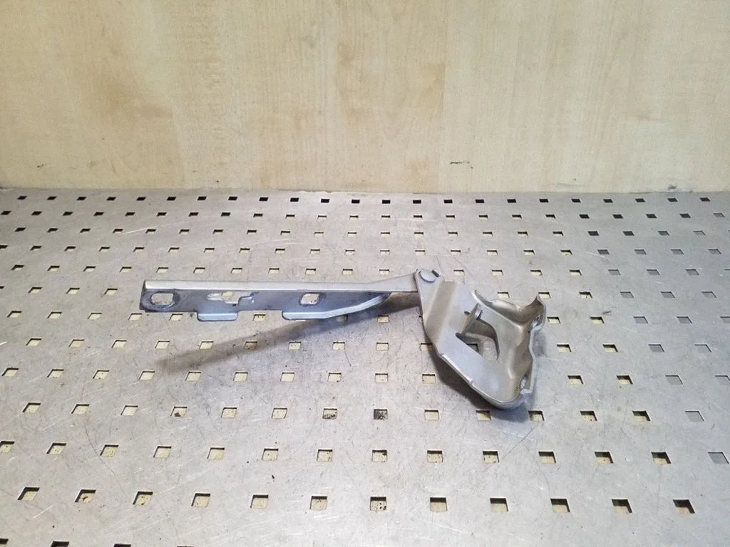Motora pārsega eņģe (-es) 8T0823301B