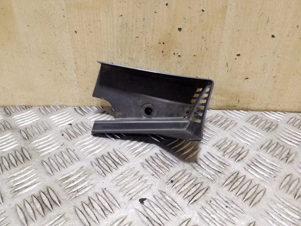 Wiper trim 31424884