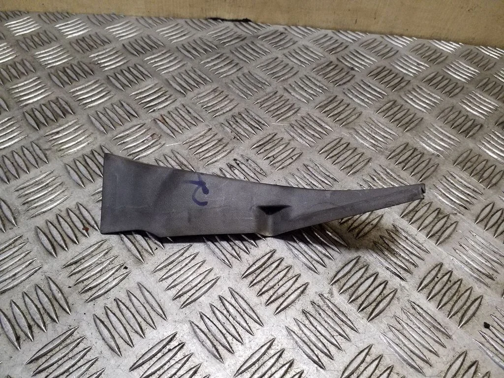Wiper trim 20989765