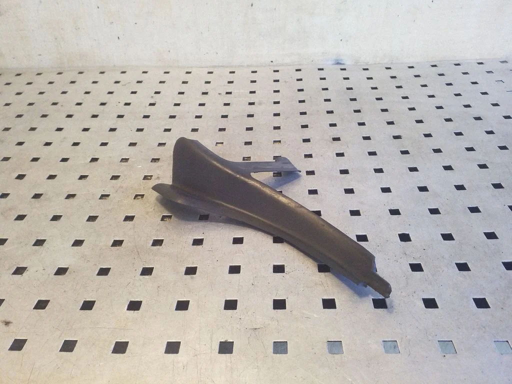 Wiper trim AW9316D178AE