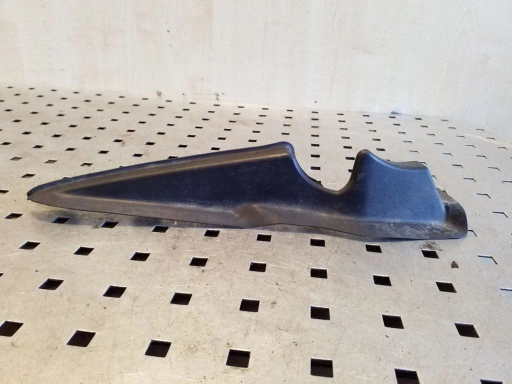 Wiper trim 820010059