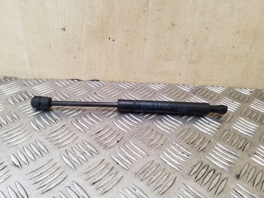 Front bonnet/hood damper/strut
