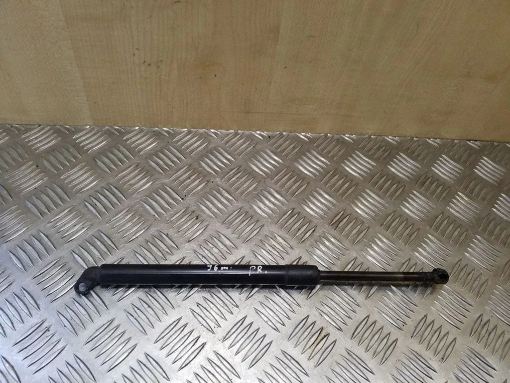 Front bonnet/hood damper/strut