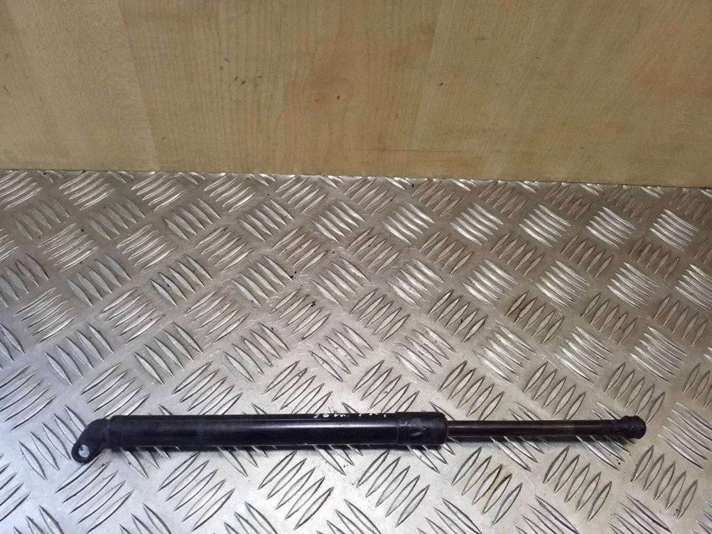 Front bonnet/hood damper/strut