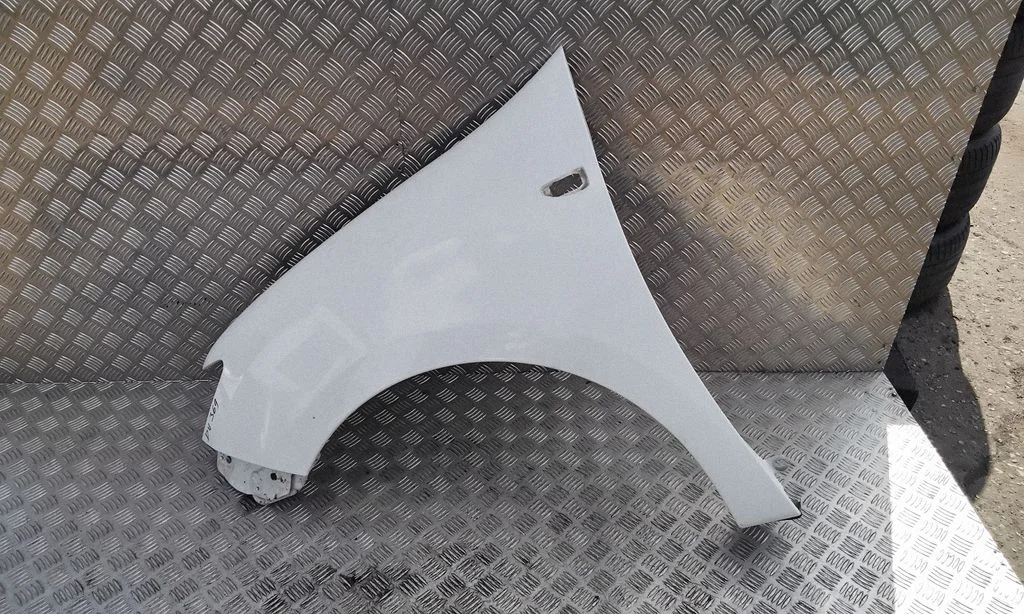 Fender – left
