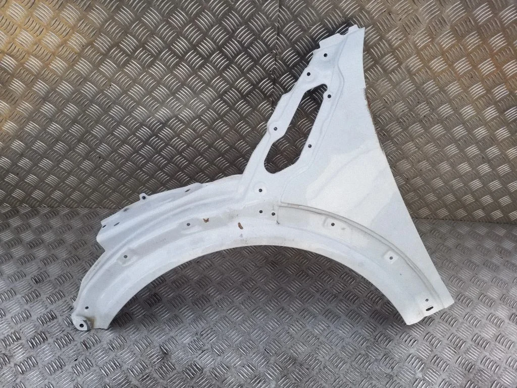Spārns – Mini Cooper Countryman R60 (2011-2016), kreisā