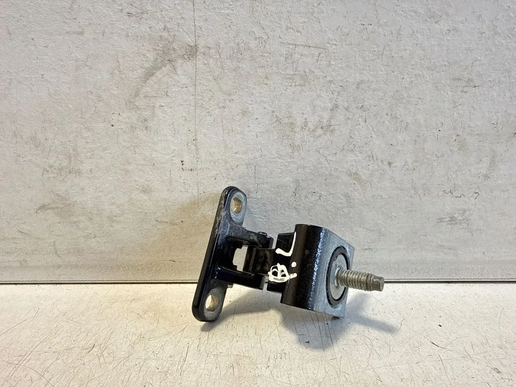 Tailgate/trunk/boot hinge – left