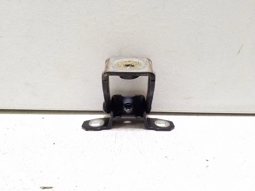 Tailgate/trunk/boot hinge – left