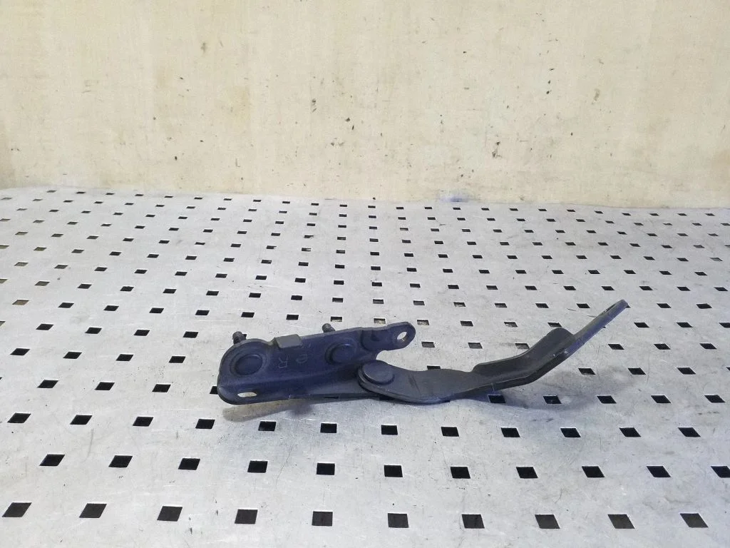 Tailgate/trunk/boot hinge – right